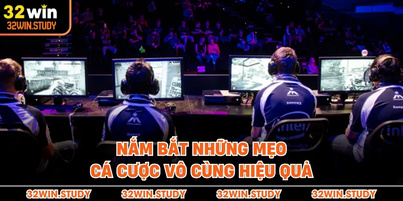 Nắm bắt những mẹo cá cược vô cùng hiệu quả