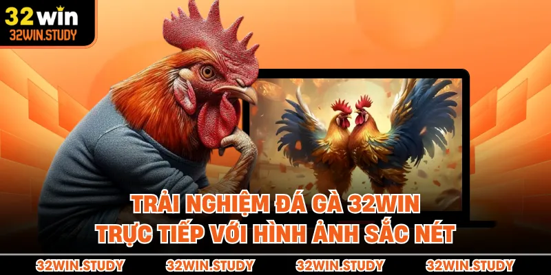 Trải nghiệm đá gà 32WIN trực tiếp với hình ảnh sắc nét